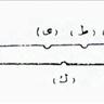 نمونه 1: یکی از انواع نی های رایج در زمان فارابی