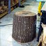 Figure 1: The piece of wood ready for making the tombak